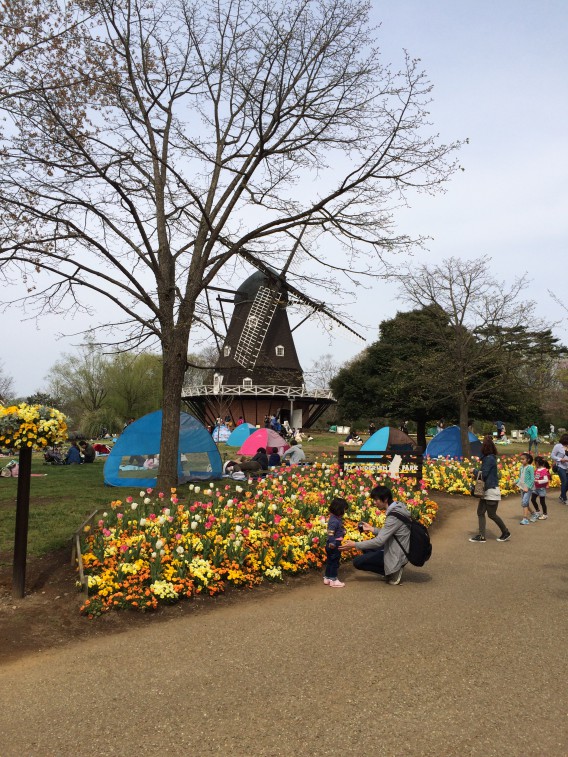 船橋アンデルセン公園　風車　小