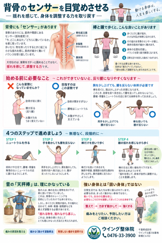 背骨センサー　体幹　コルセット